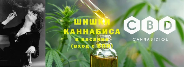 дурь Бронницы