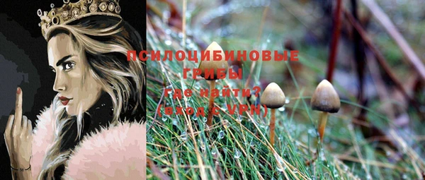 МДМА Бородино