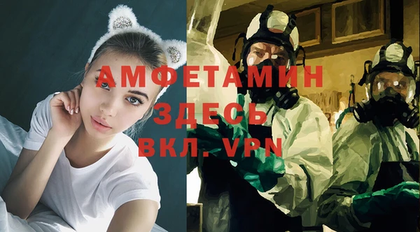 дурь Бронницы