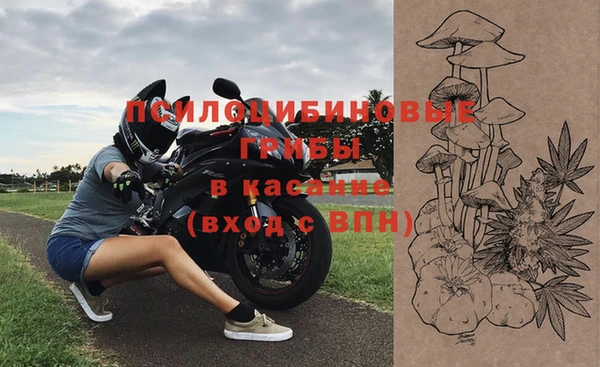 МДМА Бородино