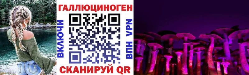 закладки  МЕГА ссылка  Псилоцибиновые грибы ЛСД  Пятигорск 