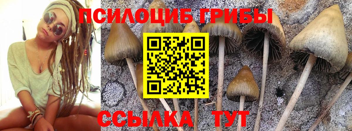 Галлюциногенные грибы Magic Shrooms  Вход с VPN  Пятигорск 