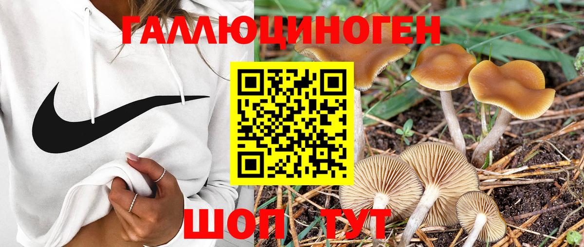 Галлюциногенные грибы прущие грибы Пятигорск